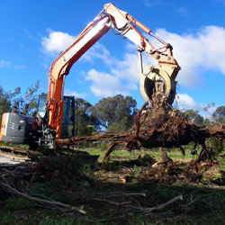earthwork photo